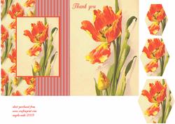 Poppy to Say Thank You