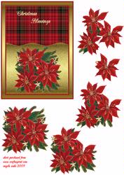 Poinsettia's on Gold with Stars