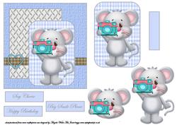 Mouse Photographer