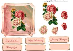 Red, Pink Vintage Rose
