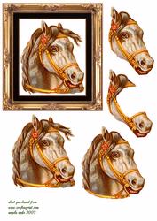 A Brown Stallion