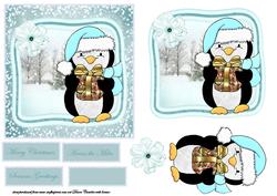 Penguin with a Gift