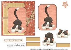 Cat Play