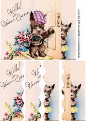 A Yorkie Comes Calling
