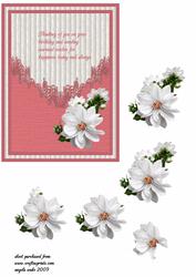 White Dahlia