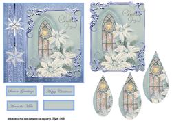White Poinsettias