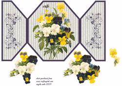 Pansy's in Lots of Colours