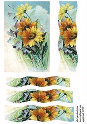 Yellow Daisy's