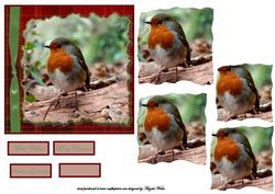 Robin Redbreast