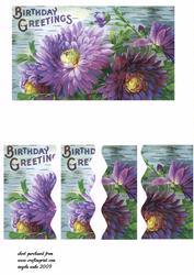 Purple Dahlias
