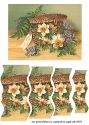 Daffodils as a Gift