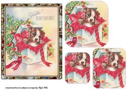 Dog Wrapped Up for Chistmas