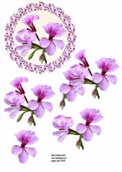Scalloped Orchid Plate
