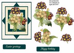 Easter Primulas