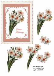 White Flowers for Easter
