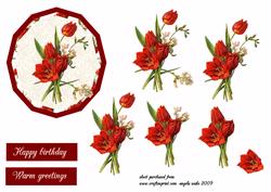 Plate of Red Tulips