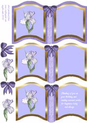 Birthday Iris and Bows