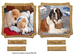 Dog Toppers, Puppies, St Bernard