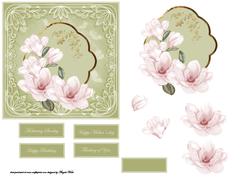Camellia Mothering Sunday