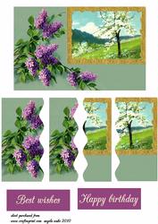 Lilacs and Cherry Blossoms