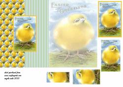 So Cute Little Chick for Easter