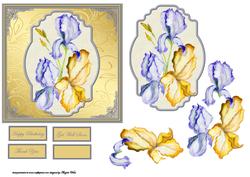 Water Colour Iris Purple and Yellow Card Front