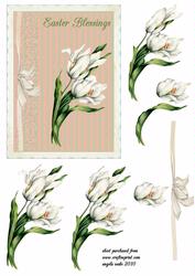 Tulips for Easter