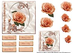 Peach Rose Card Front