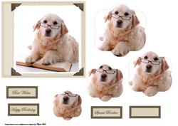 Dog Cute and Wise Card Front with Shaped Pyramid Layers