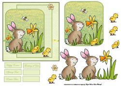 Rabbit Smells the Daffodil Card Front with Topper