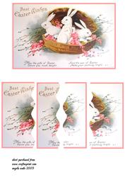 Rabbits in the Basket