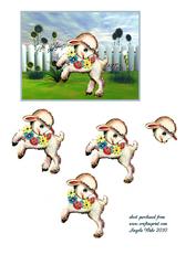 Bouncy Lamb and Flowers