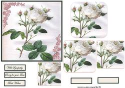 White Rose and Buds Card Front with Pyramid