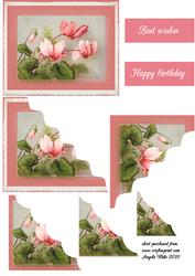 Cyclomen Flowers