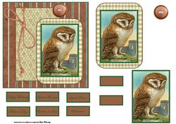Owl Card Front with a Topper and Decoupage
