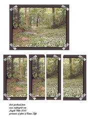 Wild Garlic Wood