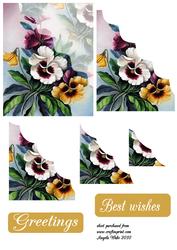 Pansy Scallop