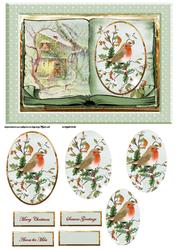 Robin Redbreast in the Garden Card