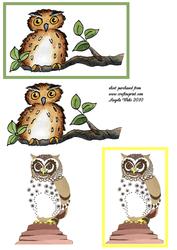 Two Owls