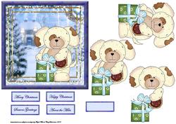 Cute Teddy Bear with Gift Card Front