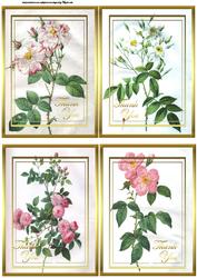 Vintage Rose Note Thank You Toppers
