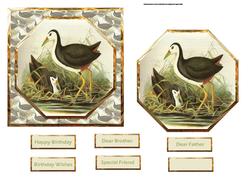 Wild Birds Enjoy the Water Card Front with Topper
