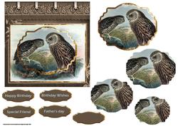 Owls at Dawn Card Front with Shaped Stackers