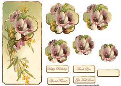 Anemone and Mimosa Dl Card with Petal Stackers