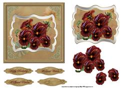 Rich Orange Pansy Card with Topper