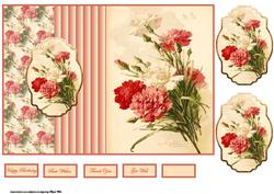 Red and Cream Carnations Fold Back Card
