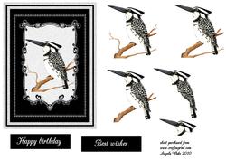 Smart Bird