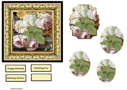 Pink and White Rose Quick Card