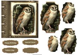 Old Barn Owl Card with Shaped Layers