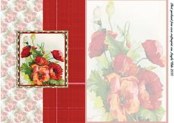 Red Poppy